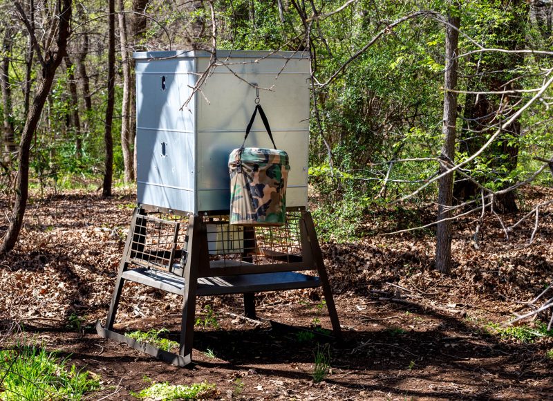 Deer feeder in a clearing of a wooded area